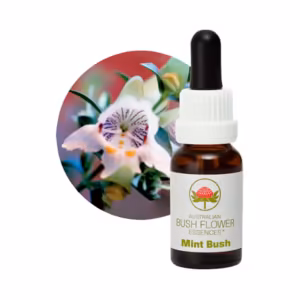 Mint Bush Floral do Bush Australiano 15 ml
