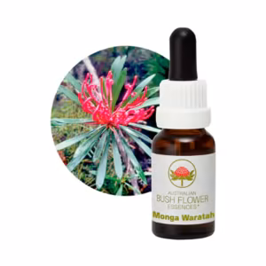 Monga Waratah Floral do Bush Australiano 15 ml