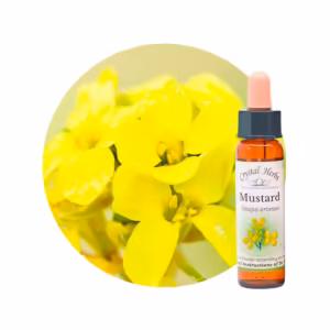 Mustard Floral de Bach 10 ml