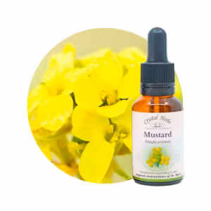 Mustard Floral de Bach 20 ml
