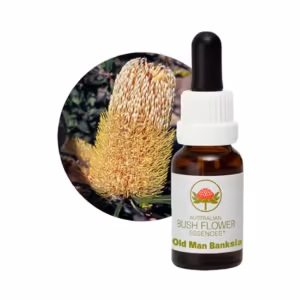 Old Man Banksia Floral do Bush Australiano 15 ml