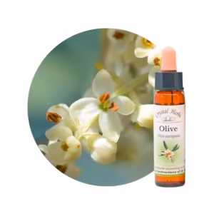 Olive Floral de Bach 10 ml