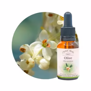Olive Floral de Bach 20ml
