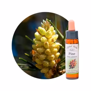 Pine Floral de Bach 10 ml