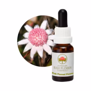 Pink Flannel Flower Floral do Bush Australiano 15 ml