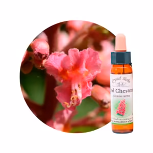 Red Chestnut Floral de Bach 10 ml