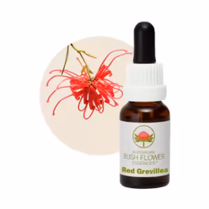 Red Grevillea Floral do Bush Australiano 15 ml