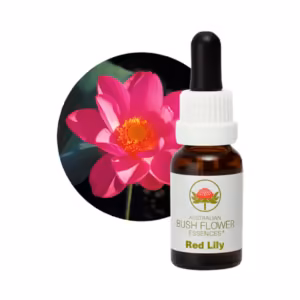 Red Lily Floral do Bush Australiano 15 ml
