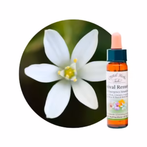 Revival Floral de Bach 10 ml também conhecido como Rescue