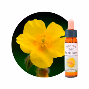 Rock Rose Floral de Bach 10 ml
