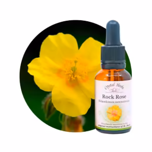 Rock Rose Floral de Bach 20 ml