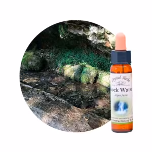 Rock Water Floral de Bach 10 ml