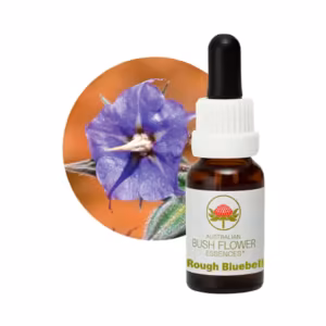 Rough Bluebell Floral do Bush Australiano 15 ml