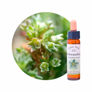 Scleranthus Floral de Bach 10 ml
