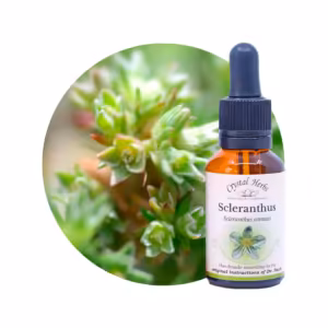Scleranthus Floral de Bach 20 ml