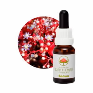 Sedum Floral do Bush Australiano 15 ml