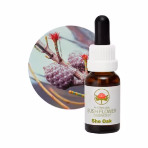 She Oak Floral do Bush Australiano 15 ml