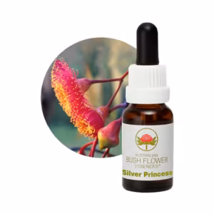 Silver Princess Floral do Bush Australiano 15 ml