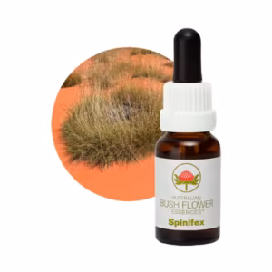 Spinifex Floral do Bush Australiano 15 ml