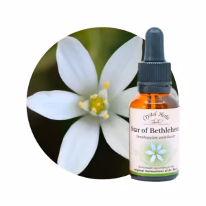Star of Bethlehem Floral de Bach 20ml