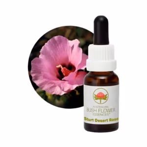 Sturt Desert Rose Floral do Bush Australiano 15 ml
