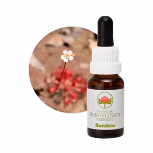 Sundew Floral do Bush Australiano 15 ml
