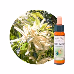 Sweet Chestnut Floral de Bach 10 ml