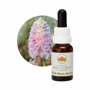 Tall Mulla Mulla Floral do Bush Australiano 15 ml