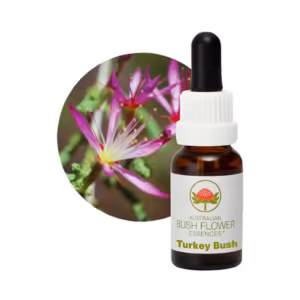 Turkey Bush Floral do Bush Australiano 15 ml
