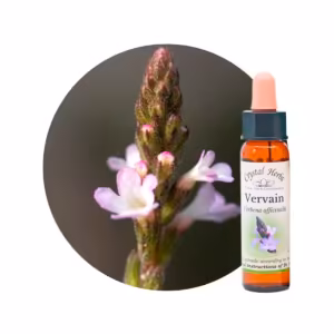 Vervain Floral de Bach 10 ml