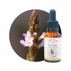 Vervain Floral de Bach 20 ml