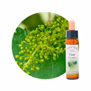 Vine Floral de Bach 10 ml