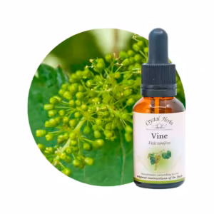 Vine Floral de Bach 20 ml