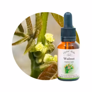 Walnut Floral de Bach 20 ml