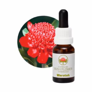 Waratah Floral do Bush Australiano 15 ml