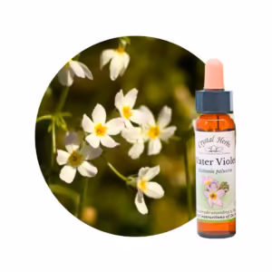 Water Violet Floral de Bach 10 ml