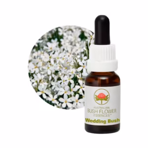 Wedding Bush Floral do Bush Australiano 15 ml