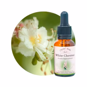 White Chestnut Floral de Bach 20 ml