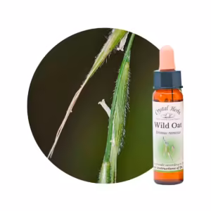 Wild Oat Floral de Bach 10 ml