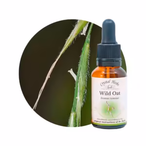 Wild Oat Floral de Bach 20 ml