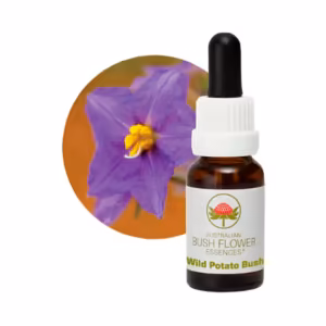 Wild Potato Bush Floral do Bush Australiano 15 ml