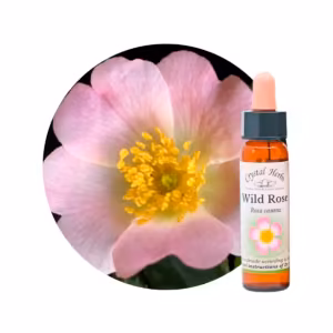 Wild Rose Floral de Bach 10 ml