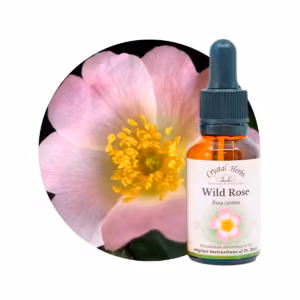 Wild Rose Floral de Bach 20 ml