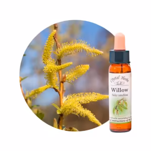 Willow Floral de Bach 10 ml