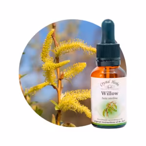 Willow Floral de Bach 20 ml