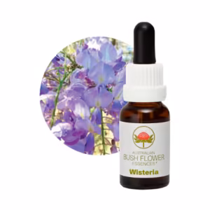 Wisteria Floral do Bush Australiano 15 ml