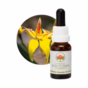 Yellow Cowslip Orchid Floral do Bush Australiano 15 ml